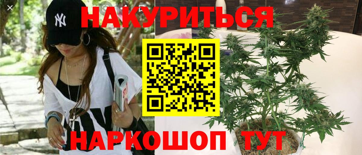 Бошки марихуана план  Бошки марихуана план  Кызыл  Канабис SATIVA & INDICA  Вход с VPN 